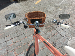 Curve D Coco 2020 RIN RIN BICLAS