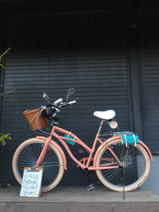 Curve D Coco 2020 RIN RIN BICLAS