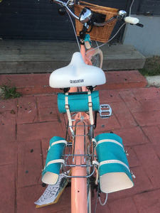 Curve D Coco 2020 RIN RIN BICLAS