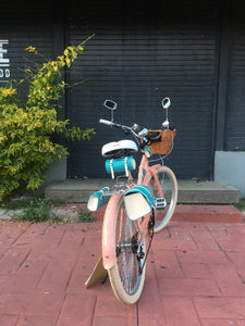 Curve D Coco 2020 RIN RIN BICLAS