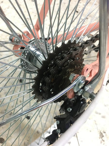 Curve D Coco 2020 RIN RIN BICLAS