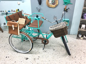 Tricicleta Cinderella´s Chocolat 2.0 2021 RIN RIN BICLAS