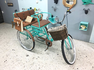 Tricicleta Cinderella´s Chocolat 2.0 2021 RIN RIN BICLAS