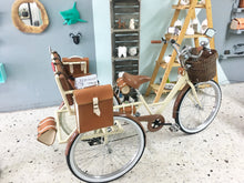 Cargar imagen en el visor de la galería, Tricicleta Chocolat 2020 RIN RIN BICLAS
