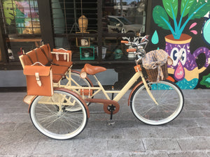 Tricicleta Chocolat 2020 RIN RIN BICLAS