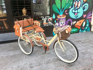 Tricicleta Chocolat 2020 RIN RIN BICLAS