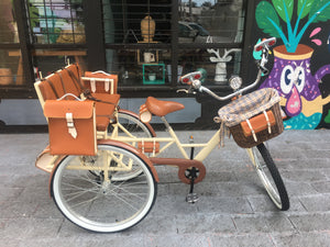 Tricicleta Chocolat 2020 RIN RIN BICLAS