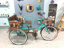 Cargar imagen en el visor de la galería, Tricicleta Cinderella´s Chocolat 2.0 2021 RIN RIN BICLAS
