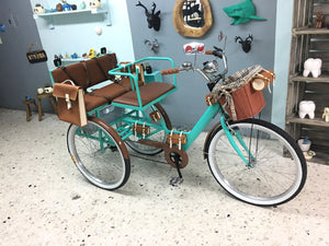 Tricicleta Cinderella´s Chocolat 2.0 2021 RIN RIN BICLAS
