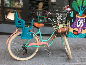 Slim D Sky Ferreira 6.0 porta bebé 2022 RIN RIN BICLAS