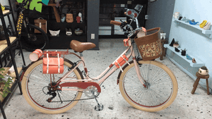 rines 72 rayos bicicleta vintage