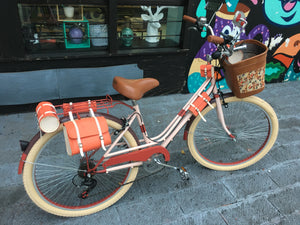bicicleta vintage rines 72 rayos 