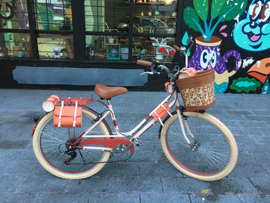 bicicleta vintage rines 72 rayos 