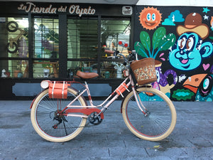 bicicleta vintage 72 rayos 