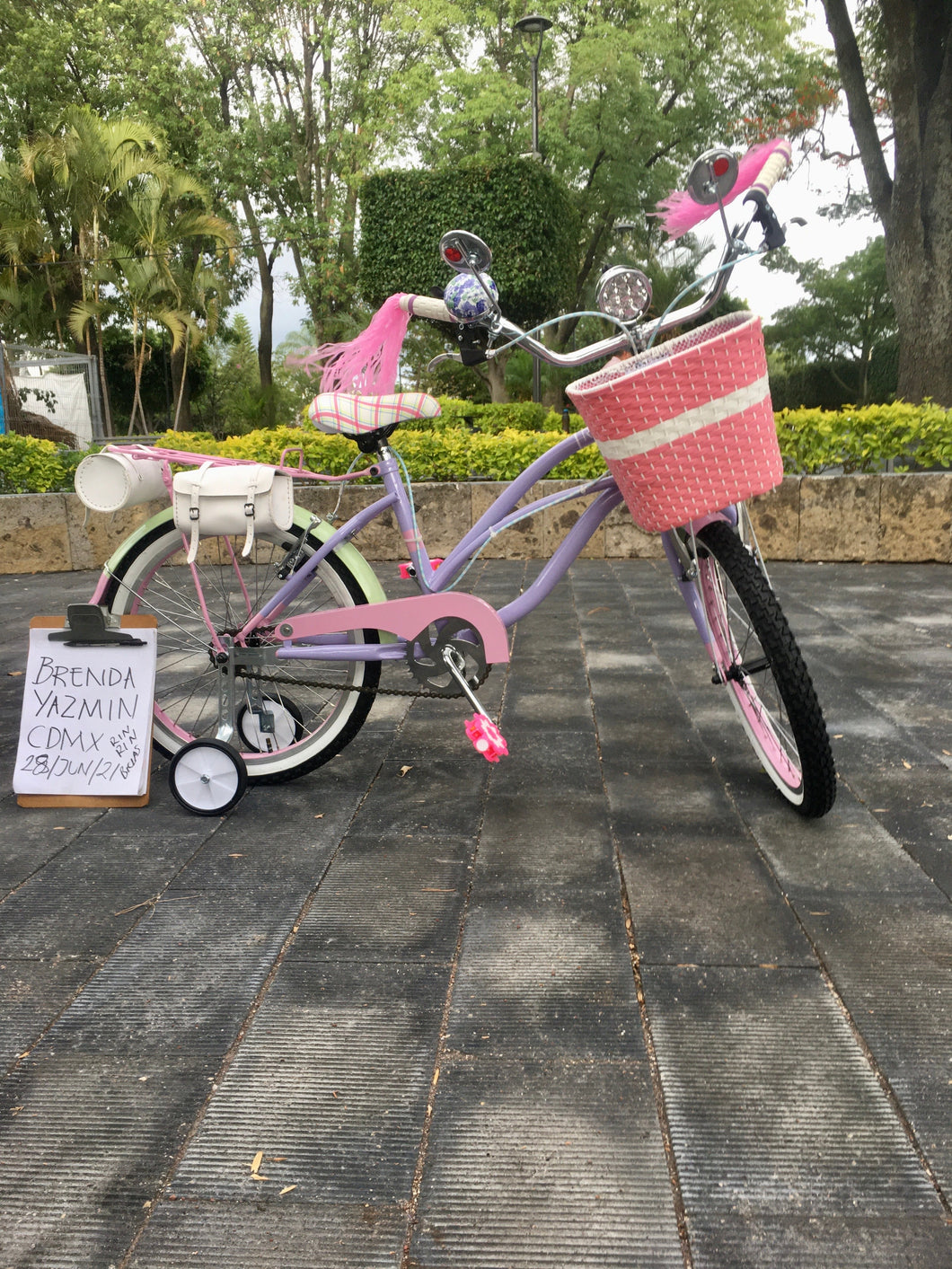 Curve N R20 Bruise 2021 RIN RIN BICLAS