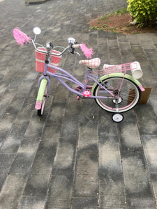 Curve N R20 Bruise 2021 RIN RIN BICLAS