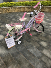 Cargar imagen en el visor de la galería, Curve N R20 Bruise 2021 RIN RIN BICLAS
