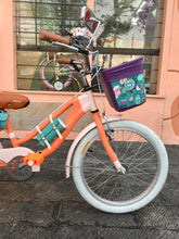 Cargar imagen en el visor de la galería, Slim N R20 Wanda Maximoff RIN RIN BICLAS
