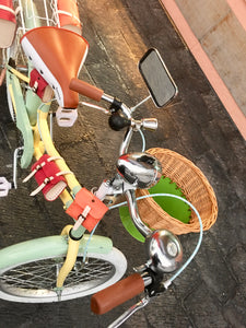 Vint N R20 Sailor Jupiter RIN RIN BICLAS