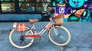 bicicleta vintage 72 rayos 