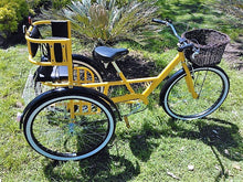 Cargar imagen en el visor de la galería, Tricicleta Yellow Suite 1.0 2017 RIN RIN BICLAS
