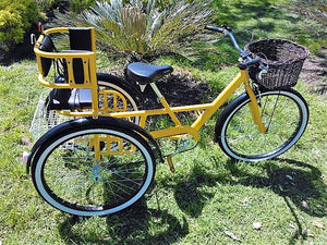 Tricicleta Yellow Suite 1.0 2017 RIN RIN BICLAS