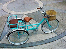 Cargar imagen en el visor de la galería, Tricicleta Cinderella´s Castle 1.0 2010 RIN RIN BICLAS
