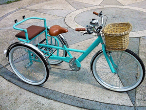 Tricicleta Cinderella´s Castle 1.0 2010 RIN RIN BICLAS