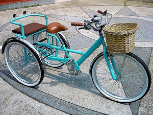 Tricicleta Cinderella´s Castle 1.0 2010 RIN RIN BICLAS