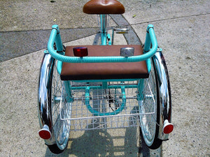 Tricicleta Cinderella´s Castle 1.0 2010 RIN RIN BICLAS