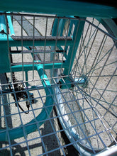 Cargar imagen en el visor de la galería, Tricicleta Cinderella´s Castle 1.0 2010 RIN RIN BICLAS
