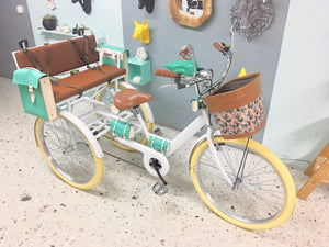 Tricicleta White Emerald RIN RIN BICLAS