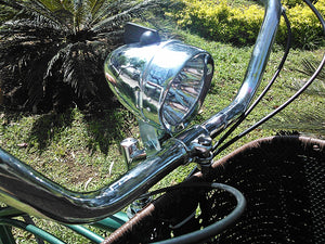 Curve D Oxford 2020 RIN RIN BICLAS