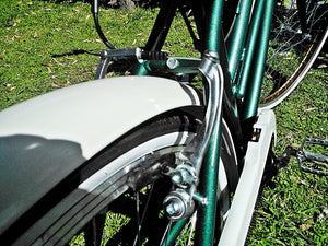 Curve D Oxford 2020 RIN RIN BICLAS