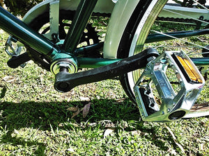 Curve D Oxford 2020 RIN RIN BICLAS